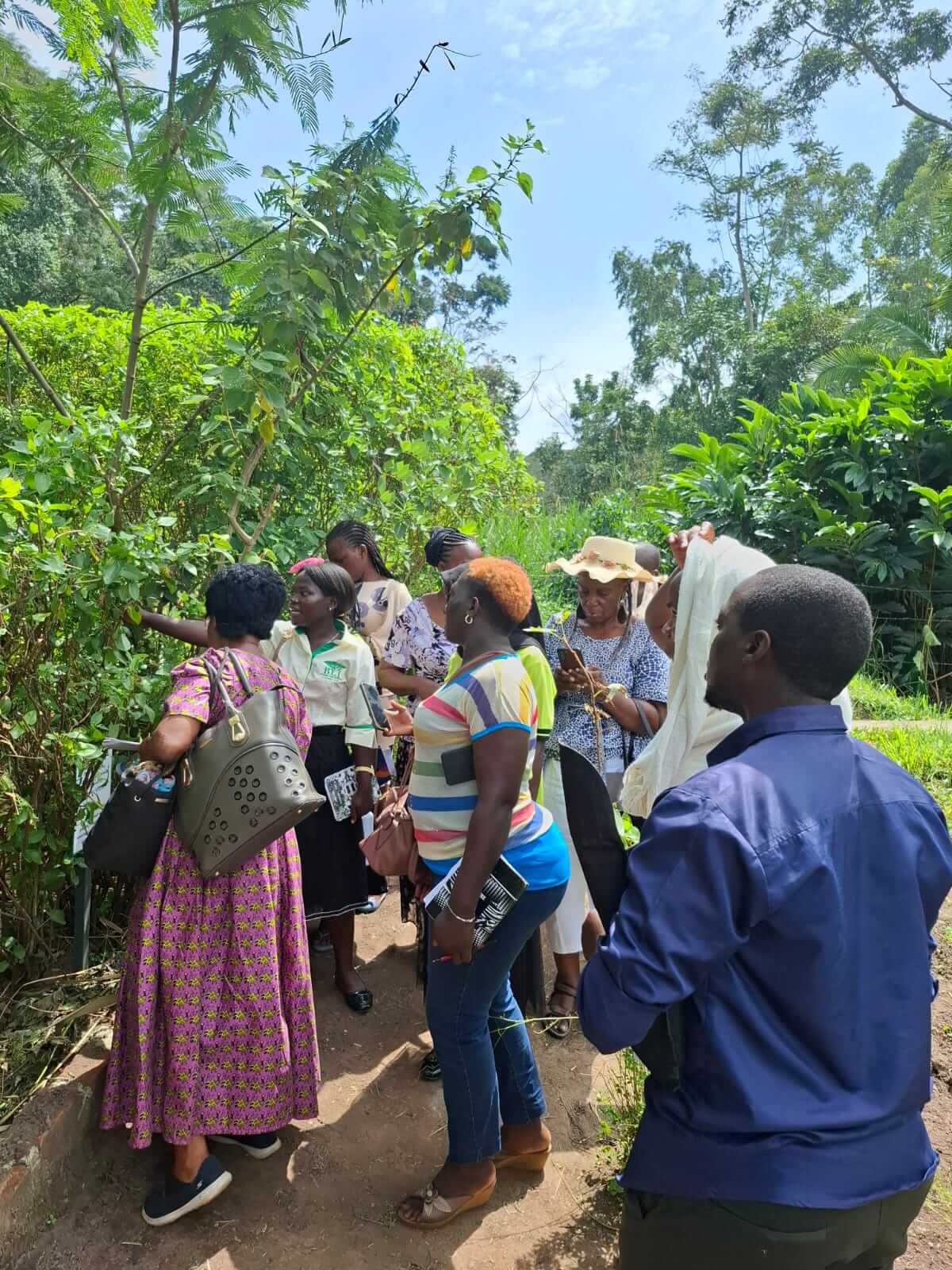 Complementary College Ndejje University Completes 3-Week Complementary Medicine Training ...