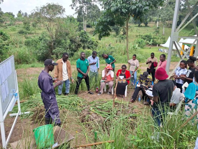 Ndejje University Completes 3-Week Complementary Medicine Training!